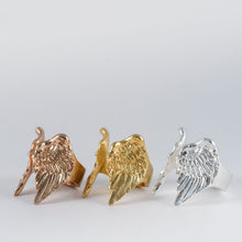 Anillo Alas