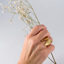 Oro Amarillo